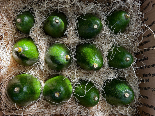California Avocado Gift Box- Seasonal Varieties