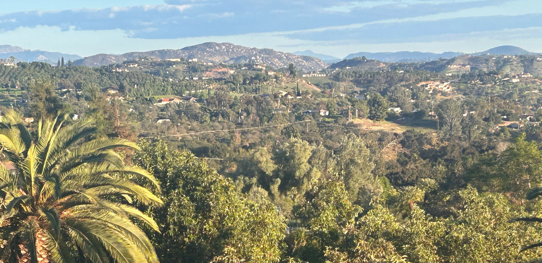 Seasonal Notes From The Ranch -  Fall 2026