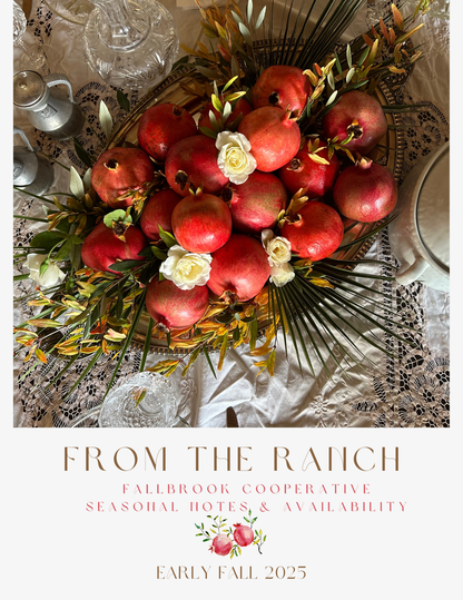 Hyper Local Estate Grown Pomegranates -1/2 Dozen