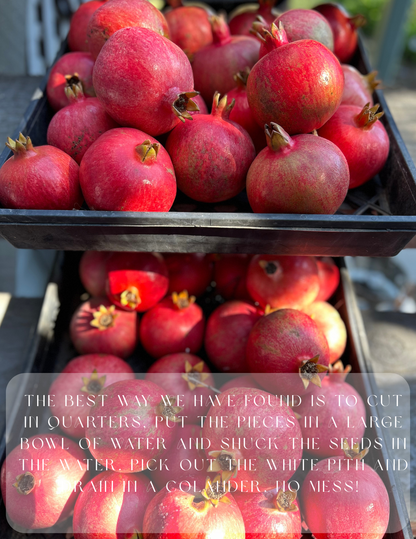 Hyper Local Estate Grown Pomegranates -1/2 Dozen