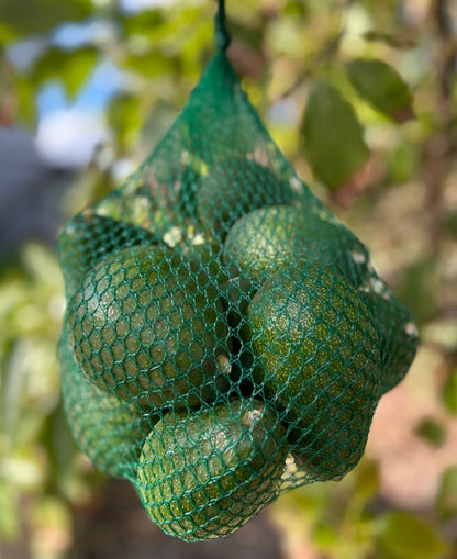 Fuerte Avocado Gift Box - COMING SOON!