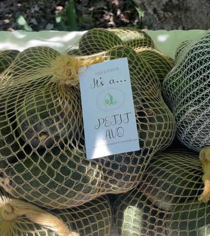 Baby Avo's