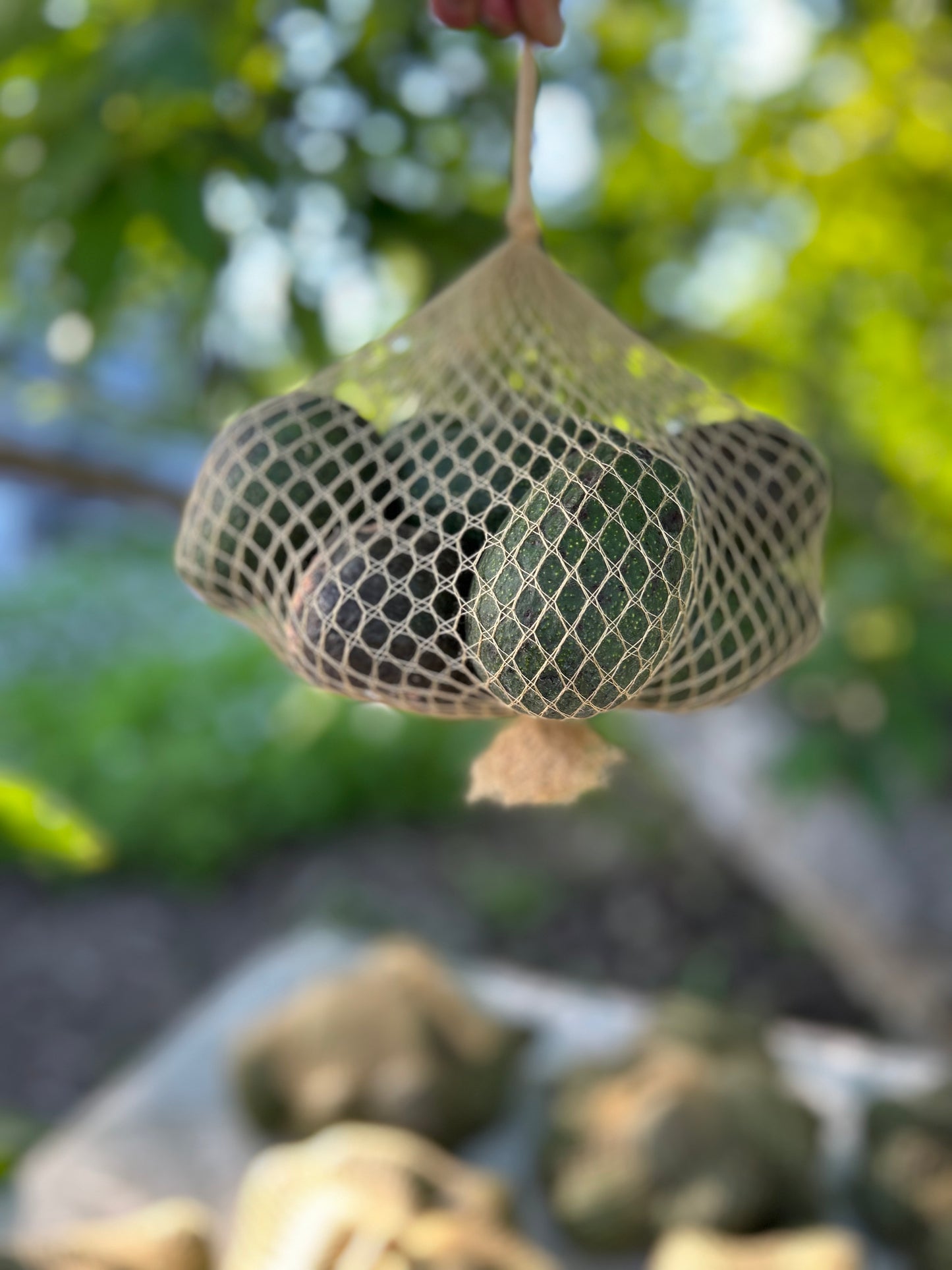 Mama-Cado Gift Bag