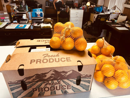 Office Avocado Drop