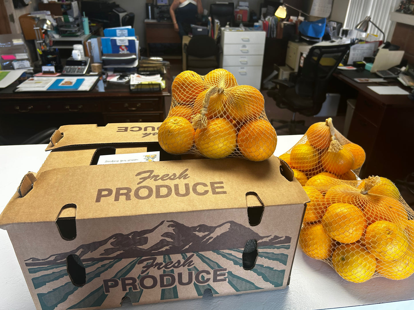 Estate Grown Valencia Oranges