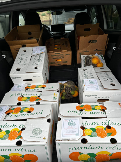 Estate Grown Valencia Oranges