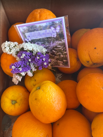 Estate Grown Valencia Oranges